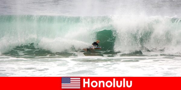 L'île paradisiaque d'Honolulu offre des vagues parfaites pour les surfeurs amateurs et professionnels