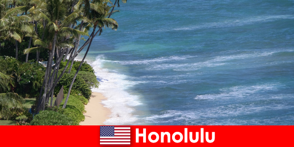 Découvrez les meilleurs d'Honolulu en famille