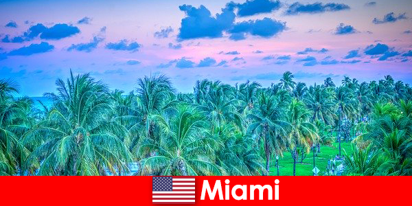 Miami nature à couper le souffle avec une grande nature tropicale