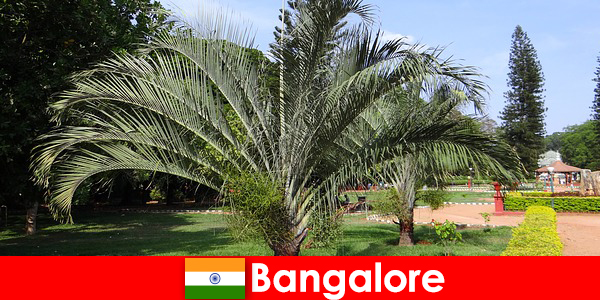 Le climat agréable de Bangalore toute l’année vaut le détour pour chaque étranger