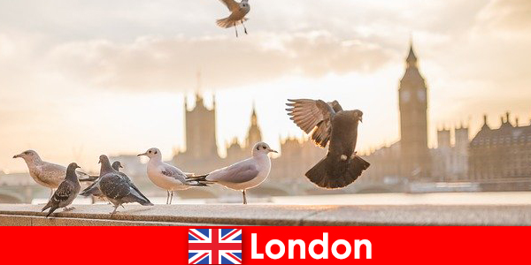 Lieux à visiter à Londres pour les visiteurs internationaux d’origine étrangère