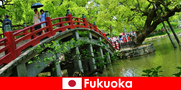 Pour les immigrants, Fukuoka est une atmosphère détendue et internationale avec une qualité de vie élevée