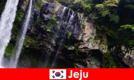 Jeju en Corée du Sud, l'île volcanique subtropicale aux forêts à couper le souffle pour les étrangers