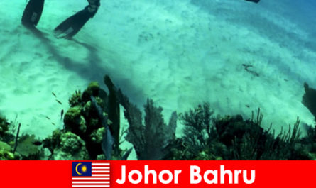 Activités d'aventure à Johor Bahru Plongée, escalade, randonnée et bien plus encore