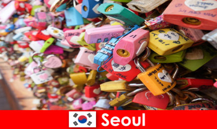 Un voyage de découverte pour des inconnus dans les rues branchées de Séoul en Corée