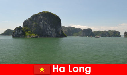 Excursions en bateau pour les vacanciers vers les géants de la roche à Ha Long Vietnam
