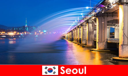 Séoul en Corée est une ville lumière qui attire les étrangers