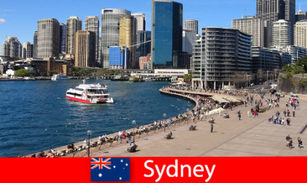 Vues panoramiques sur toute la ville de Sydney en Australie pour les visiteurs du monde entier