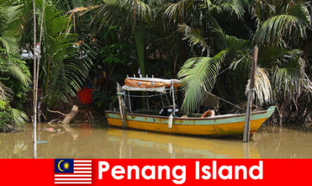Voyage longue distance pour les randonneurs à travers la jungle de l'île de Penang en Malaisie