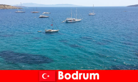Vacances de luxe pour étrangers dans les magnifiques baies de Bodrum Turquie
