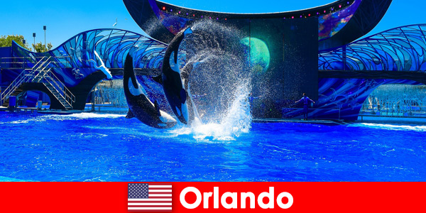 Réserver un voyage individuel pour étrangers à Orlando États-Unis