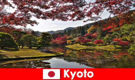 Voyage à l'étranger à Kyoto au Japon pour voir la célèbre coloration du feuillage d'automne
