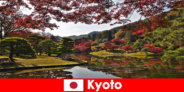 Voyage à l’étranger à Kyoto au Japon pour voir la célèbre coloration du feuillage d’automne