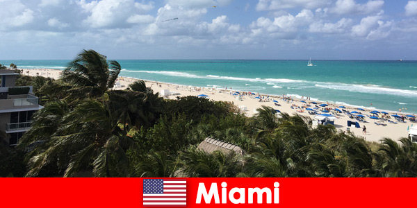 Des vagues de sable de palmiers attendent les vacanciers de longue durée dans le paradis paradisiaque de Miami aux États-Unis