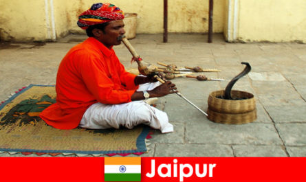 À Jaipur en Inde, les vacanciers découvrent la danse du serpent et les divertissements dans les rues animées