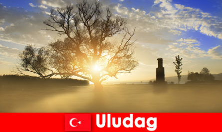 Les randonneurs apprécient la belle nature à Uludag Turquie