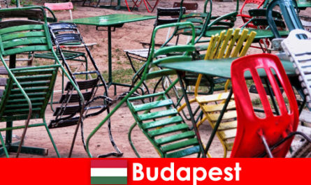Des bistrots, des bars et des restaurants intéressants attendent les voyageurs dans la belle Budapest Hongrie