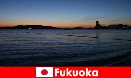 Visite régionale en groupe de la belle ville de Fukuoka au Japon