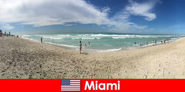 Les jeunes voyageurs trouvent la chaleur de Miami aux États-Unis excitante, branchée et unique