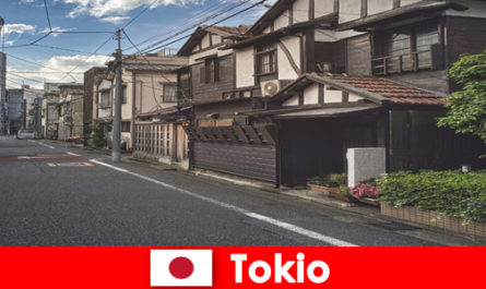 Voyage de rêve dans les quartiers les plus fascinants de Tokyo Japon