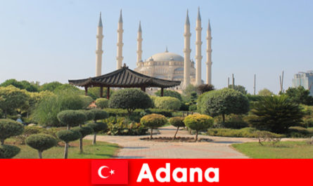 Voyage éducatif historique pour les voyageurs de l'étranger à Adana Turquie