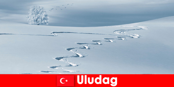 Uludag Turquie réservez un voyage de vacances en famille dans le magnifique domaine skiable