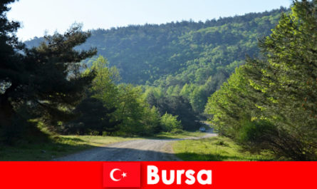 Bursa Turquie propose des excursions organisées pour les randonneurs dans la belle nature