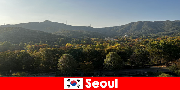 Forfaits vacances populaires pour les groupes à Séoul Corée du Sud