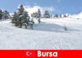 Voyage d'hiver pour les familles dans le plus grand domaine skiable Bursa Turquie