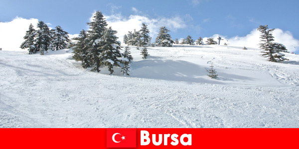 Voyage d’hiver pour les familles dans le plus grand domaine skiable Bursa Turquie