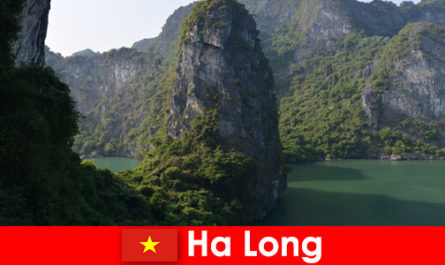 Visites passionnantes et spéléologie pour les vacanciers à Ha Long Vietnam