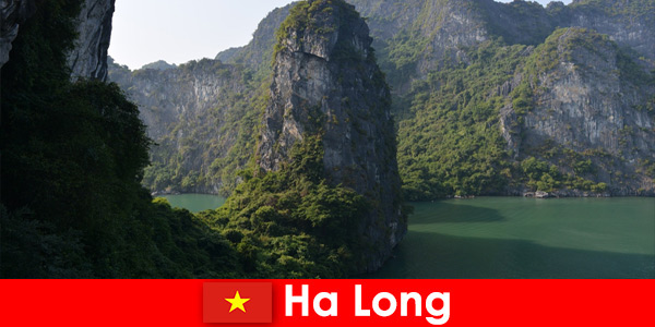 Visites passionnantes et spéléologie pour les vacanciers à Ha Long Vietnam