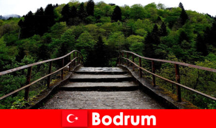 La température douce est le meilleur moment pour la randonnée pour les vacanciers à Bodrum en Turquie