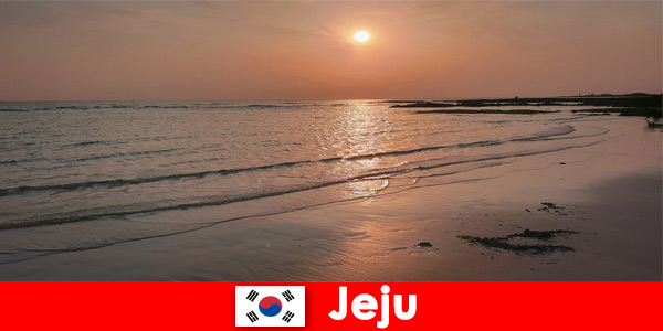 Destination de rêve pour les mariages et les invités étrangers à Jeju en Corée du Sud