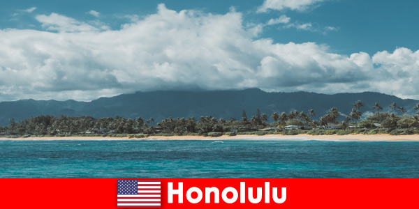 Voyages plongée pour vacanciers sportifs à Honolulu États-Unis une expérience unique