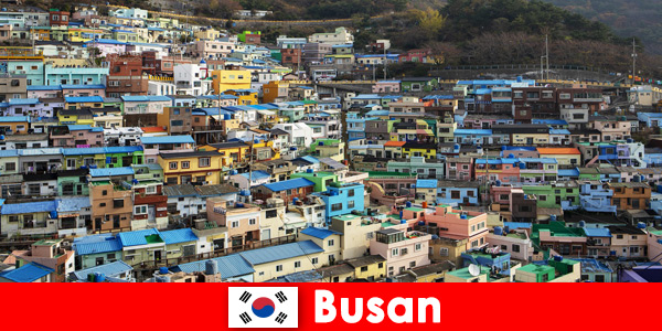 Voyage à l’étranger à Busan en Corée du Sud avec une culture culinaire à chaque coin de rue pour peu d’argent