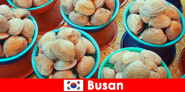 Busan Corée du Sud propose des fruits de mer frais tous les jours au marché