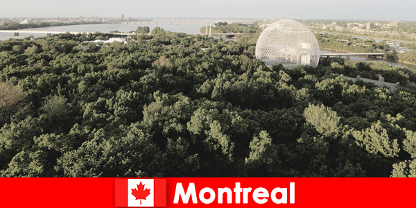 Les routards explorent la nature sauvage à pied à Montréal Canada