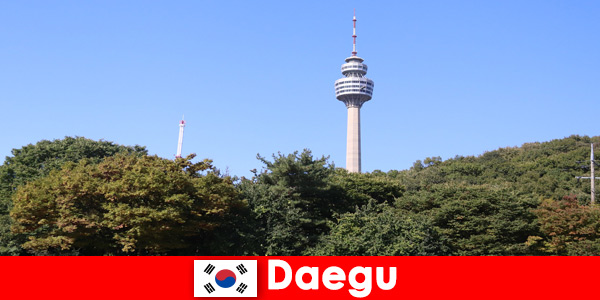 La belle ville de Daegu en Corée du Sud aime les touristes du monde entier