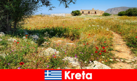 Une cuisine méditerranéenne saine et des expériences nature attendent les vacanciers en Crète Grèce