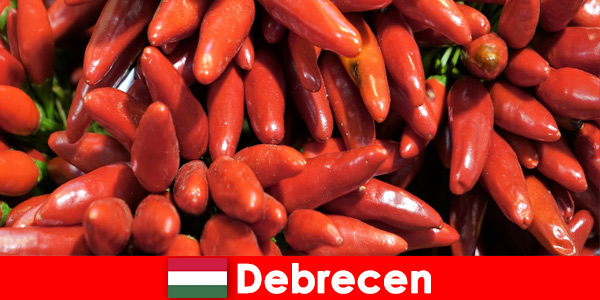Le légume le plus célèbre que l'on trouve dans presque tous les plats de Debrecen Hongrie