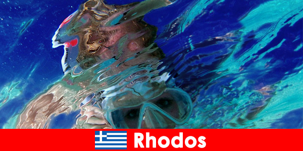 Un monde sous-marin fascinant à découvrir dans le paradis des vacances de Rhodes en Grèce