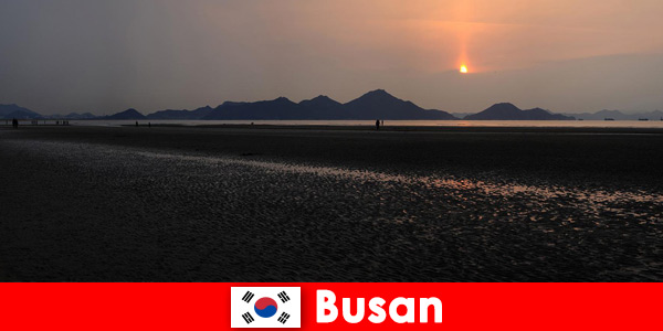 Découvrez une nature intacte et de nombreuses activités à Busan en Corée du Sud