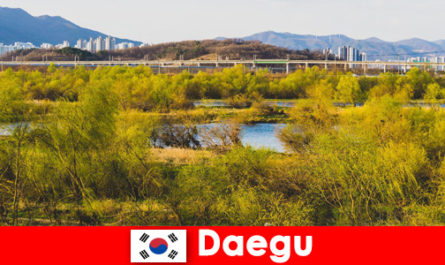 Conseils pour les voyageurs indépendants à Daegu, Corée du Sud
