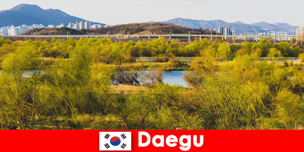 Conseils pour les voyageurs indépendants à Daegu, Corée du Sud
