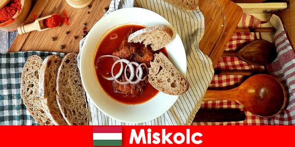 Les clients de Miskolc en Hongrie profitent des localités et de la culture locales