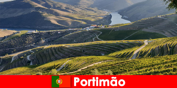 Les clients adorent la dégustation de vins et les délices des montagnes de Portimão au Portugal