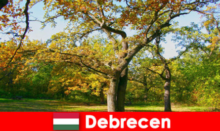 Vacances thermales pour les retraités à Debrecen Hongrie avec beaucoup de cœur