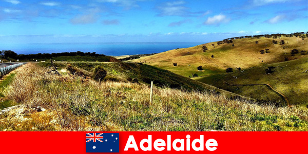 Voyage longue distance pour les vacanciers à Adélaïde en Australie dans le merveilleux monde naturel