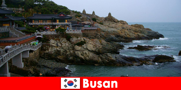 Busan Corée du Sud une ville dont il faut tomber amoureux